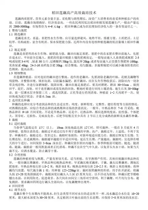 稻田莲藕高产高效栽培技术