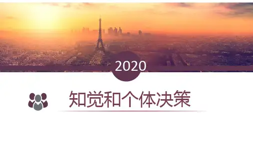 知觉和个体决策