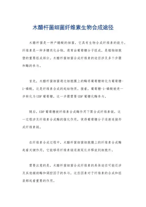 木醋杆菌细菌纤维素生物合成途径