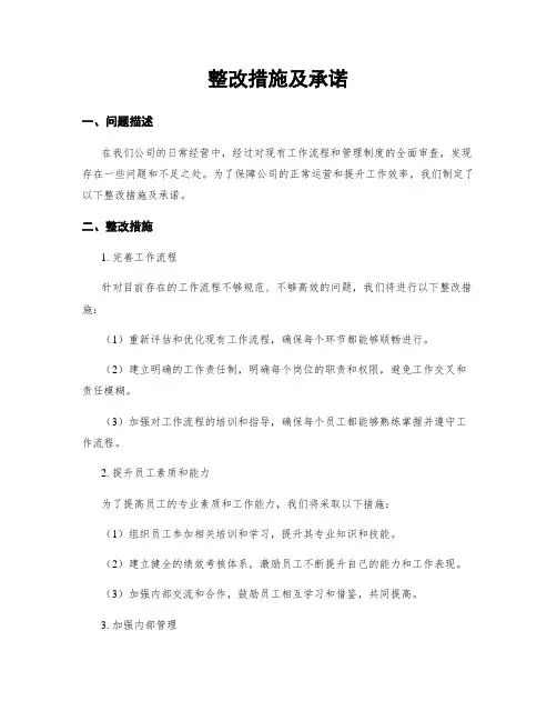 整改措施及承诺