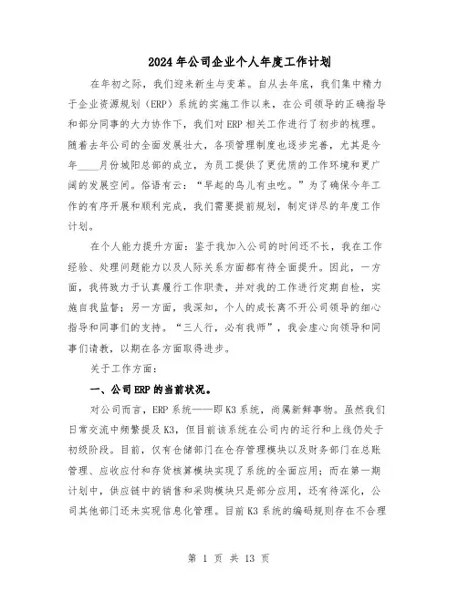 2024年公司企业个人年度工作计划(6篇)