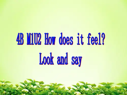 4B_M1U2_look_and_say上海牛津英语