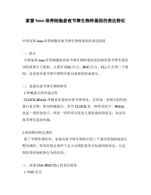 家蚕bmn培养细胞昼夜节律生物钟基因的表达特征