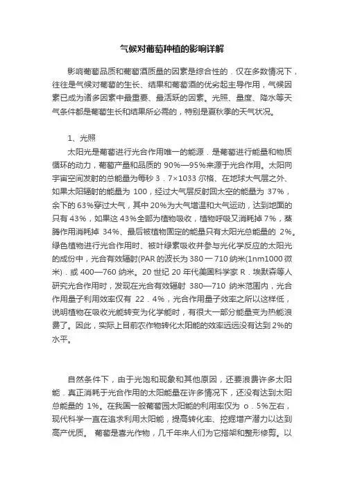 气候对葡萄种植的影响详解