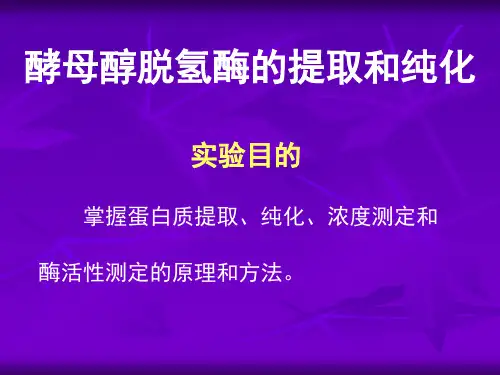生化实验六 酵母醇脱氢酶的提取与纯化