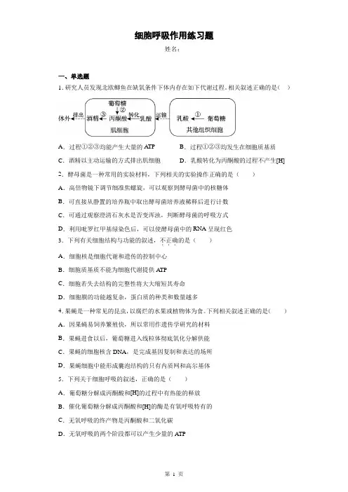 【必修一】细胞呼吸作用练习题