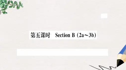 八年级英语上册Unit1Wheredidyougoonvacation第5课时课件新版人教新目标版