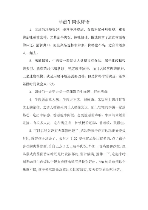 菲滋牛肉饭评语