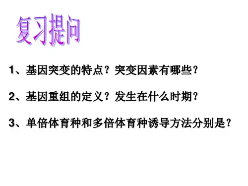 6.1杂交育种与诱变育种.ppt