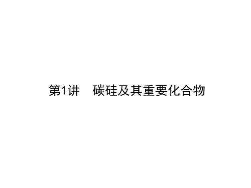 碳硅及其重要化合物