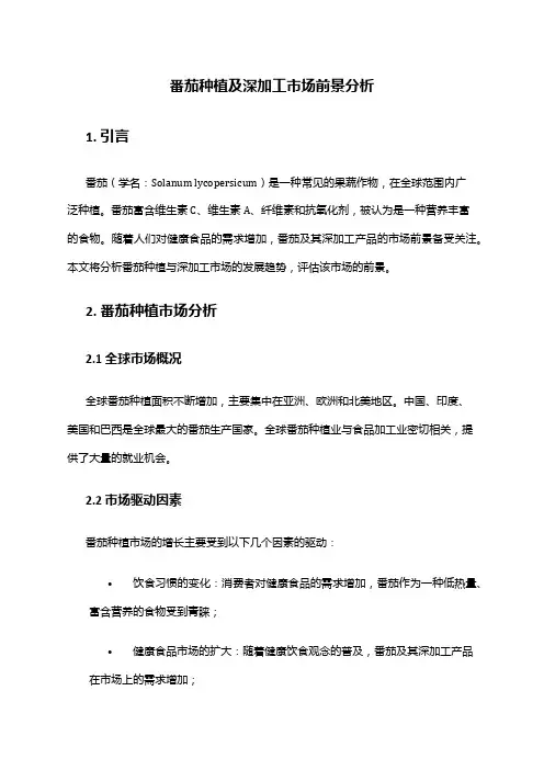 2024年番茄种植及深加工市场前景分析