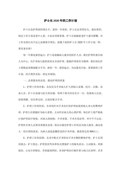 护士长2020年的工作计划