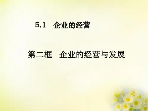 高中政治《企业的经营与发展》ppt