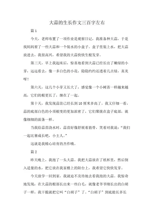 大蒜的生长作文三百字左右