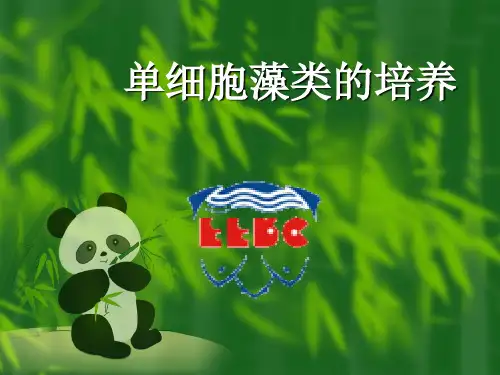 单细胞藻类的培养(3)3+6h