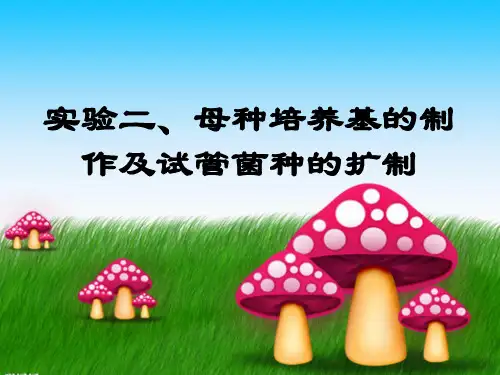 母种培养基的制作及试管菌种的扩制