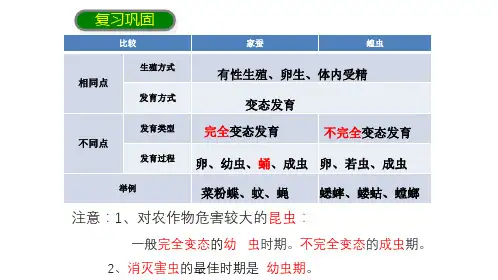两栖动物的生殖和发育课件人教版生物八年级下册