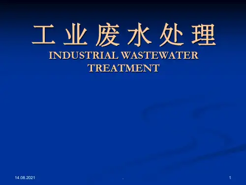 工业废水处理(6)
