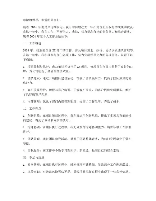 2004个人工作总结