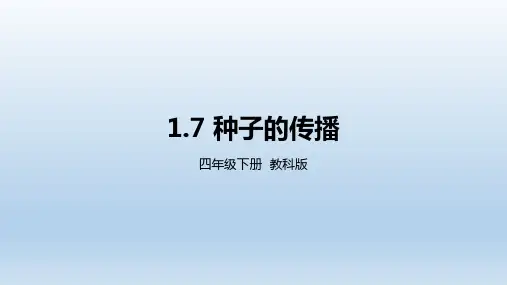 教科版小学四年级科学下册第一单元第7课《种子的传播》教学课件