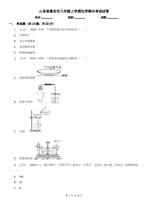 山东省泰安市八年级上学期化学期末考试试卷