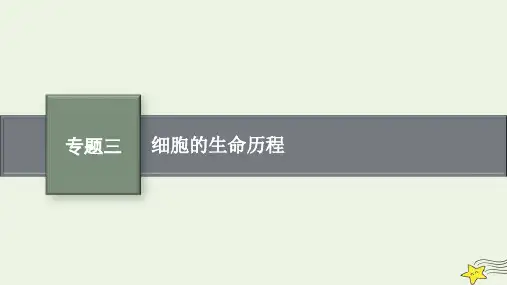 高考生物二轮复习专题3细胞的生命历程课件