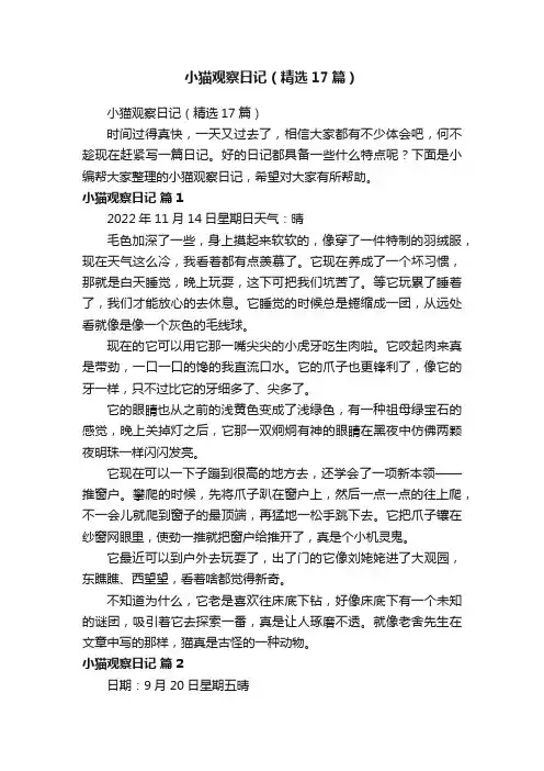 小猫观察日记（精选17篇）