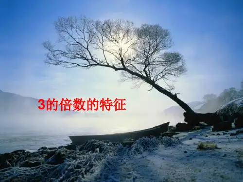 《3的倍数的特征》ppt课件