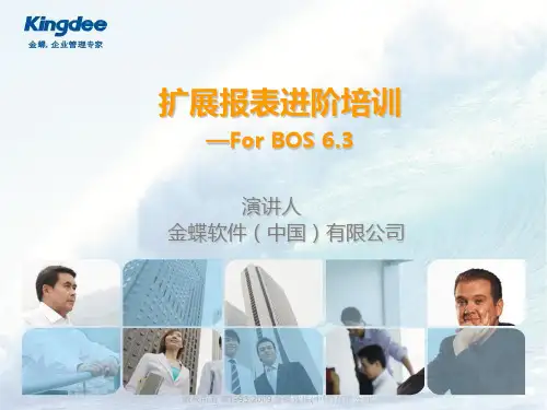 金碟EAS扩展报表进阶培训