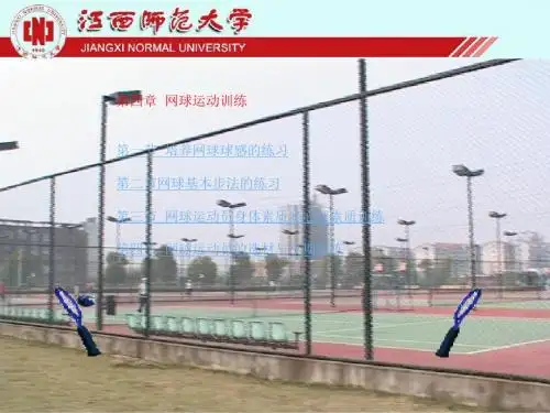 网球运动训练