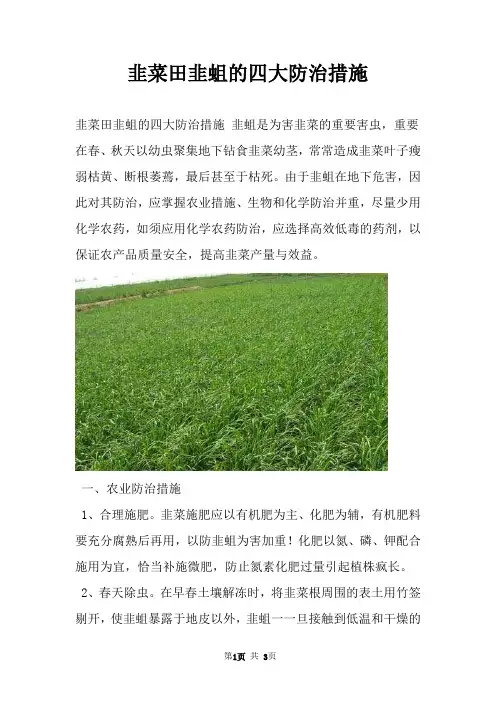 韭菜田韭蛆的四大防治措施