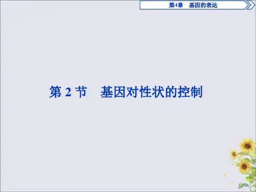 2019_2020学年高中生物第4章基因的表达第2节基因对性状的控制课件新人教版必修2
