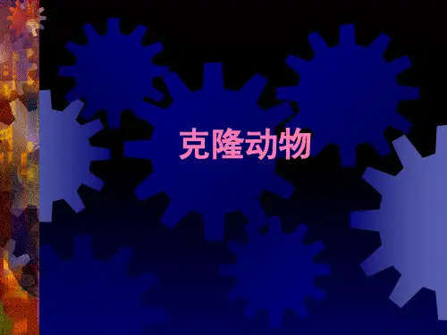 克隆动物及相关技术精品PPT课件