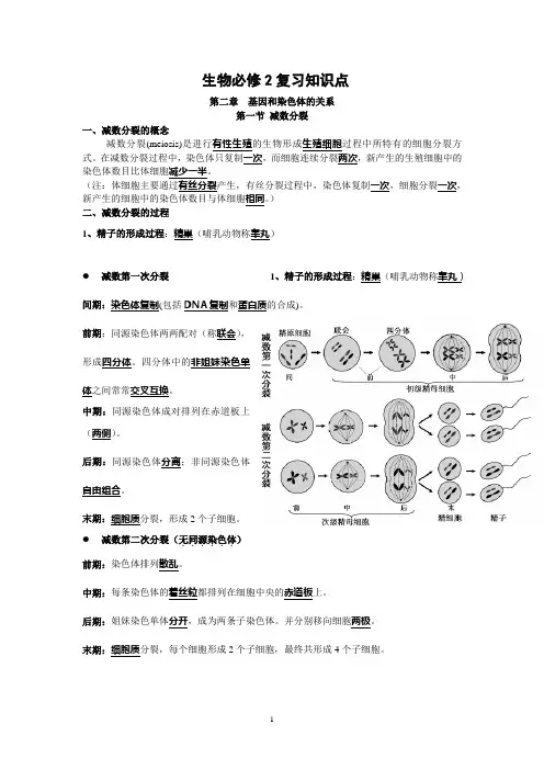 (完整word版)高中生物必修二知识点总结(精华版)