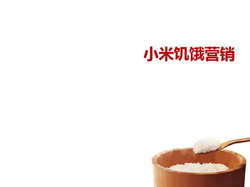 小米饥饿营销.pptx