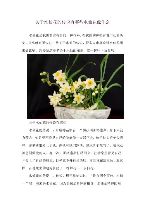 关于水仙花的传说有哪些 水仙花像什么