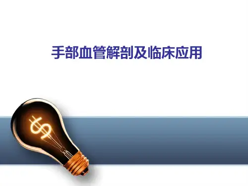 手部血管解剖及临床应用剖析