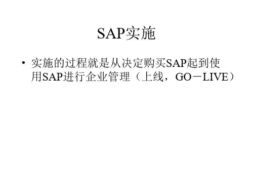 SAP实施过程和方法ppt36页14451