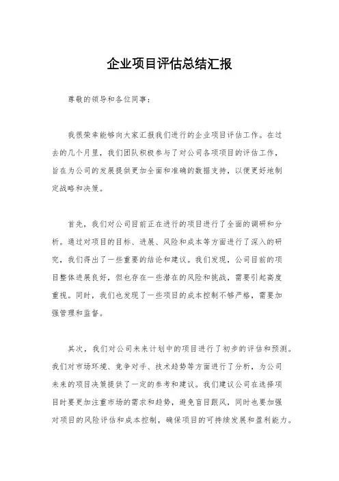 企业项目评估总结汇报