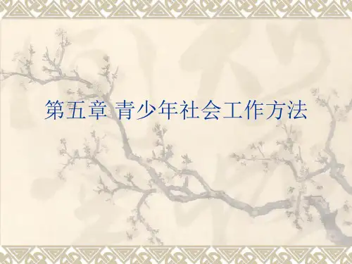 第六章_青少年社会工作方法  青少年社会工作课件