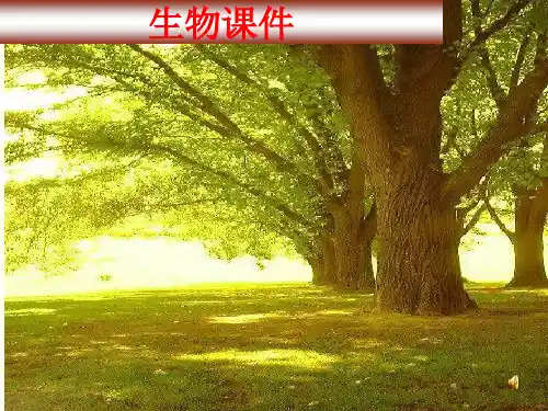 苏科版生物八年级下册7.23.2《生命进化的历程》课件 (共37张PPT)