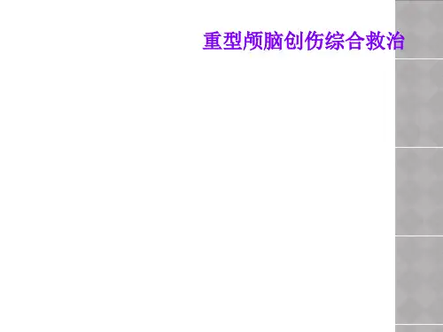 重型颅脑创伤综合救治