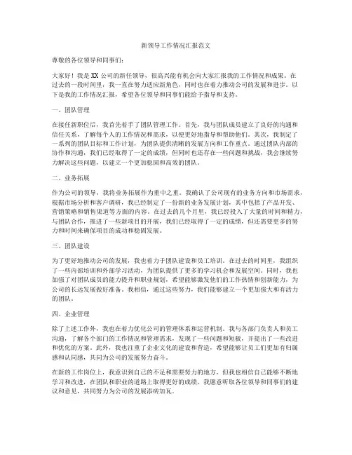新领导工作情况汇报范文