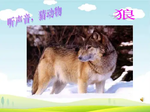 狼大叔的红焖鸡绘本阅读PPT课件
