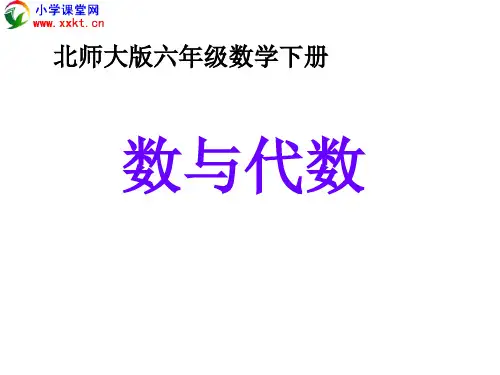 六年级数学下册《数与代数》PPT课件(北师大版)