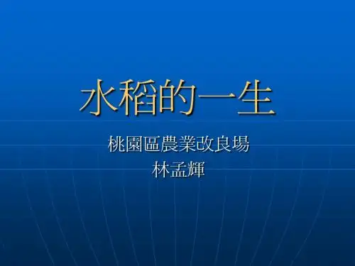 水稻的一生