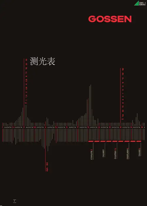 德国GMC-I高美测仪GOSSEN测光表中文介绍