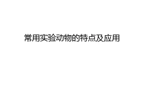 常用实验动物的特点及应用资料讲解