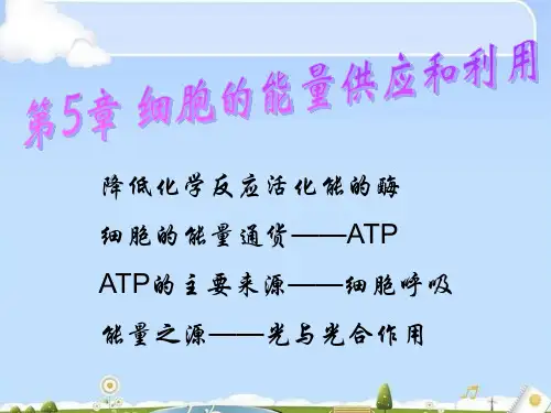 人教版高中生物必修1 5.1第1节-降低化学反应活化能的酶PPT(共45张PPT)