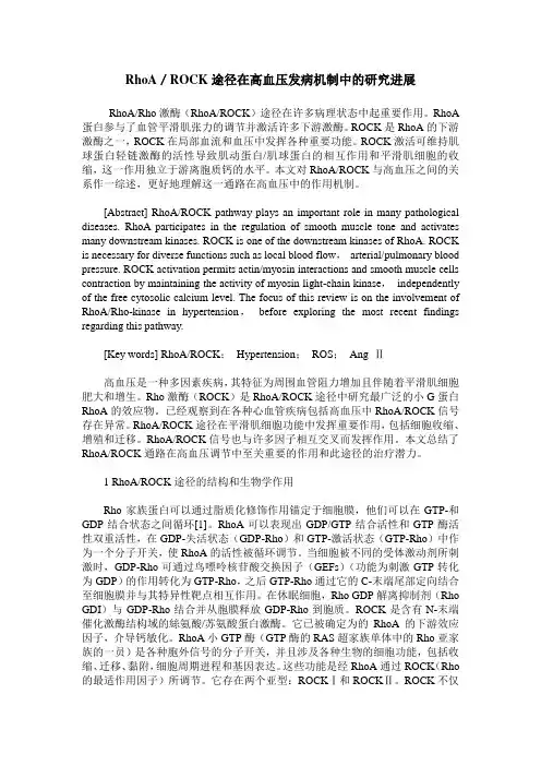RhoA／ROCK途径在高血压发病机制中的研究进展